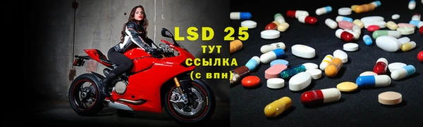 ешки Абаза